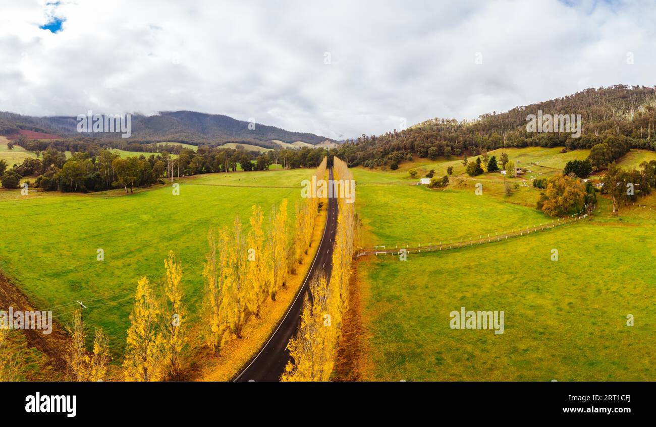 Der legendäre Gould Memorial Drive in herbstlichen Farben auf der Buxton-Marysville Rd in der Nähe der ländlichen Stadt Marysville in Victoria, Australien Stockfoto