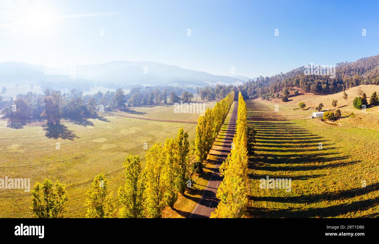 Der legendäre Gould Memorial Drive in herbstlichen Farben auf der Buxton-Marysville Rd in der Nähe der ländlichen Stadt Marysville in Victoria, Australien Stockfoto