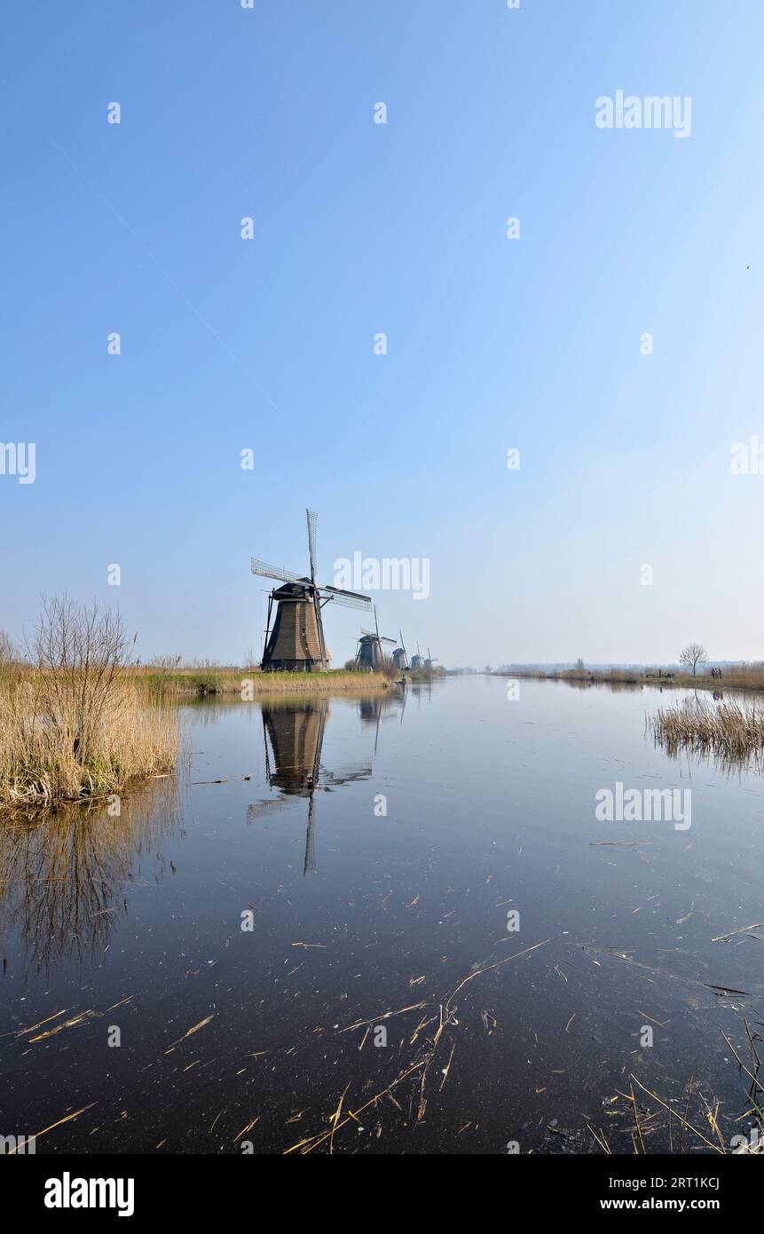 Die Mühlen Kinderdijk spiegelten sich an einem klaren, sonnigen Frühlingstag in fast gerilltem Wasser wider Stockfoto