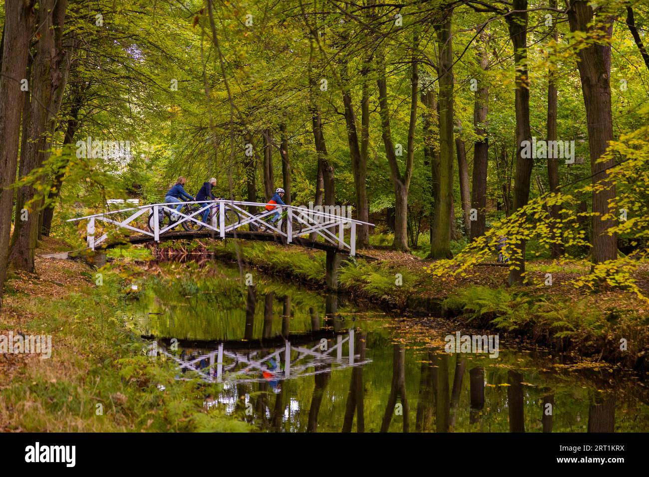 Radfahrer passieren eine Brücke im Schlosspark Hermsdorf bei Dresden Stockfoto