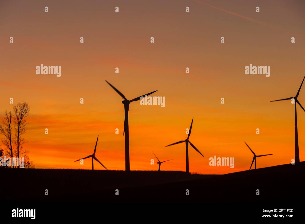 Datum der Inbetriebnahme: Nur möglich mit der Premium-Version 12: Neg Micon NM64 1500 (Nennleistung 1 500 kW) (Durchmesser 64 m) Turm Stockfoto