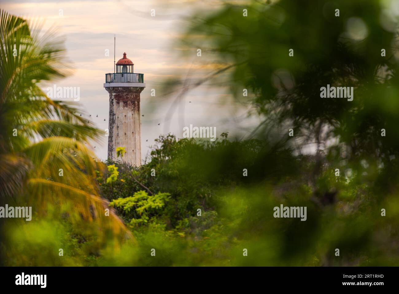 Der alte Leuchtturm von Puducherry, Südindien, gesehen durch eine Gruppe von Bäumen mit Vögel fliegen durch Stockfoto