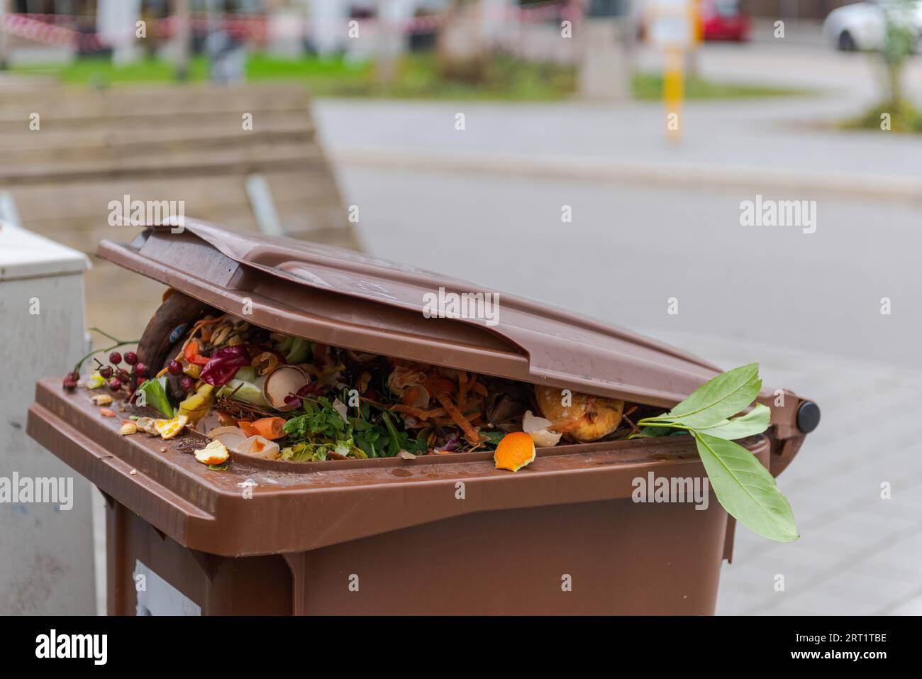 Überborstender kommunaler Bio-Abfalleimer mit offenem Deckel für biologische Abfälle Organische Abfälle stehen auf offener Straße in Wohngebiet nach weihnachtsfeiertage V Stockfoto