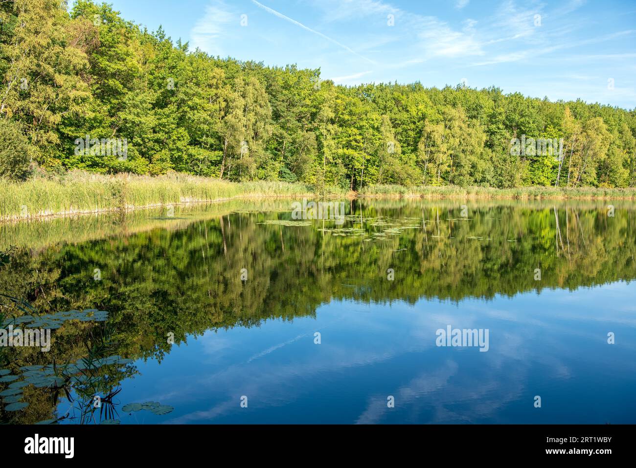 Herbstfarben im Spätsommer an einem See Stockfoto