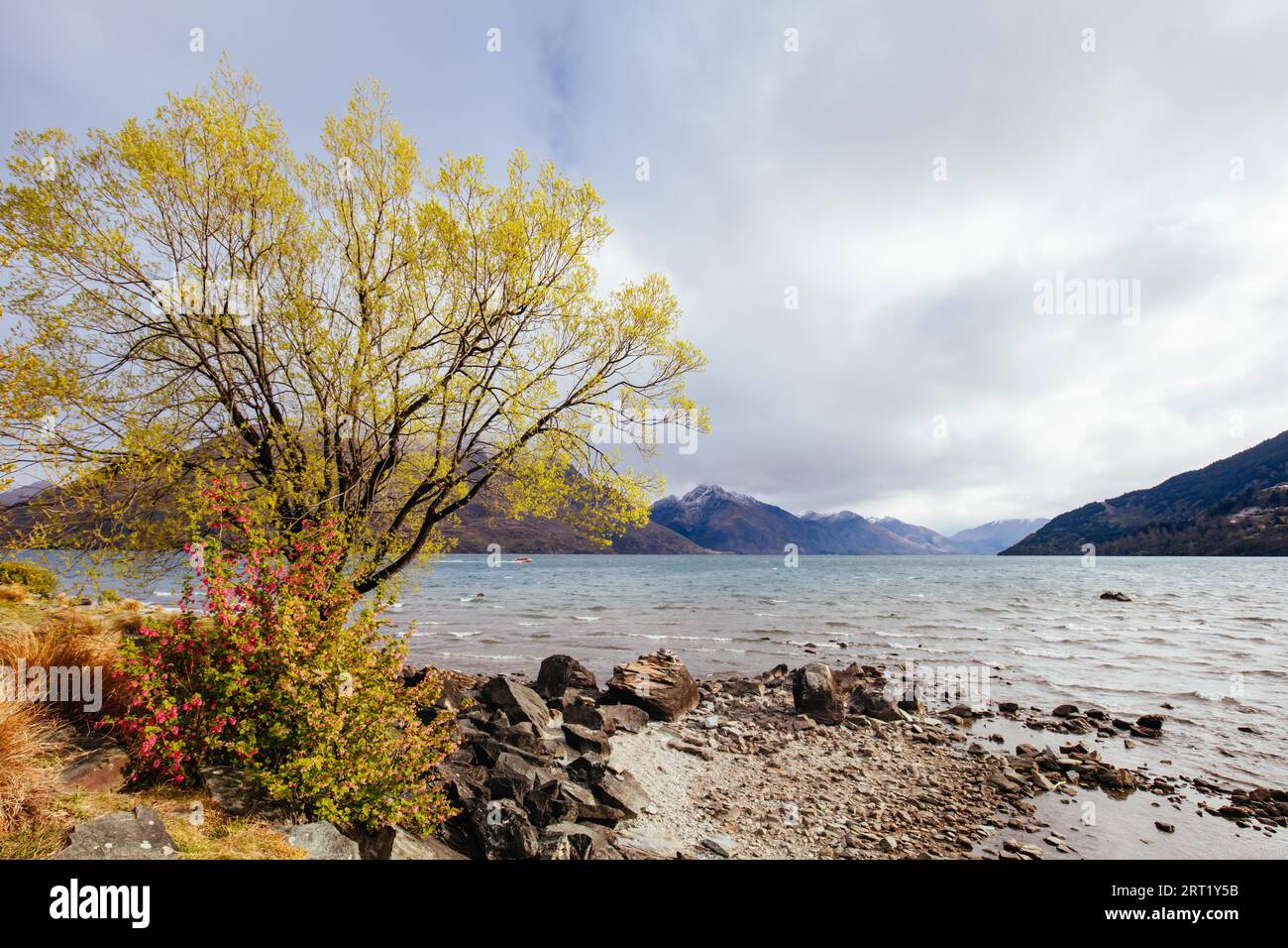 Blick auf Lake Wakatipu von Queenstown Gardens an einem sonnigen Frühlingstag in Neuseeland Stockfoto