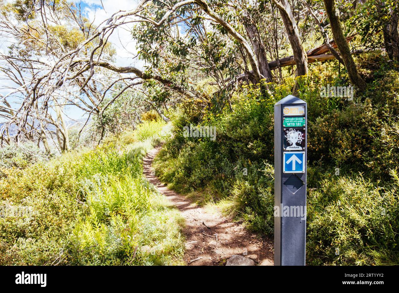 Der berühmte Medusa Trail im Sommer am Mt Buller in Victoria, Australien Stockfoto