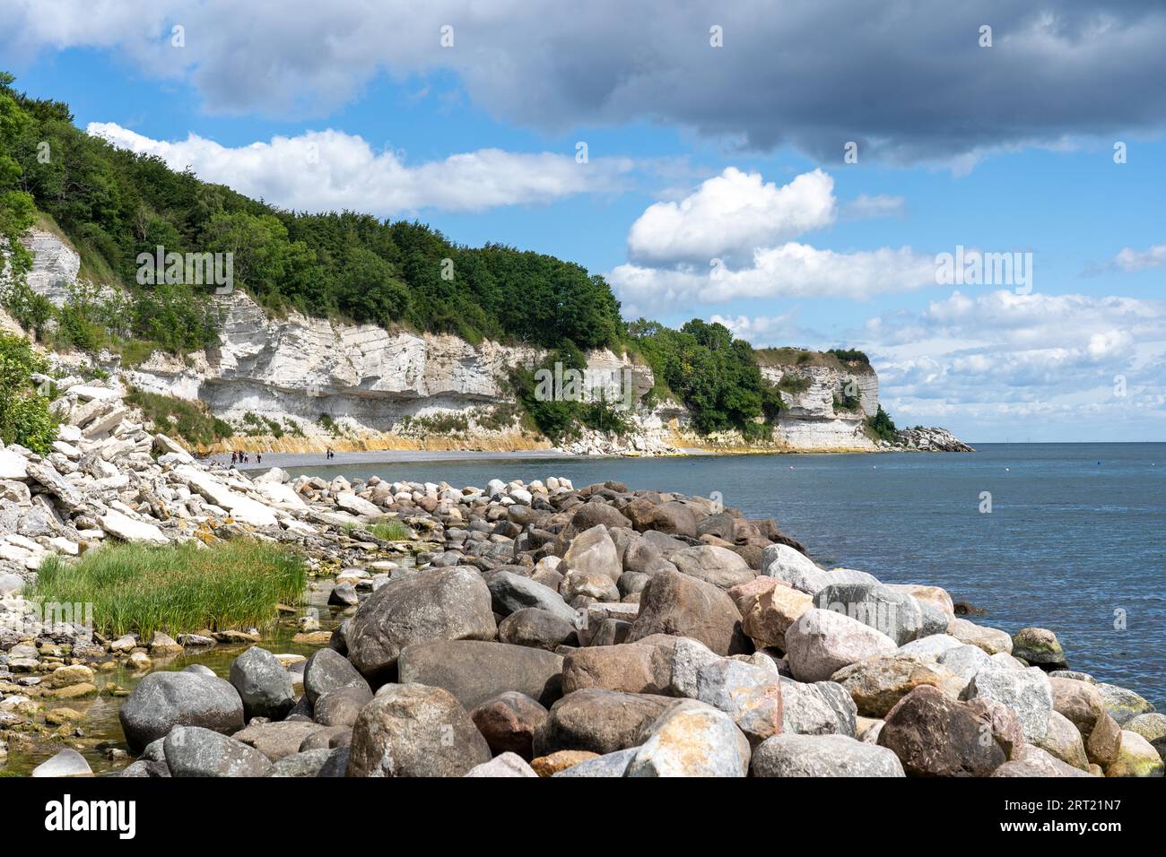 Hojerup, Dänemark, 21. Juli 2020: Blick auf die Küste am Stevns Klint Kliff Stockfoto