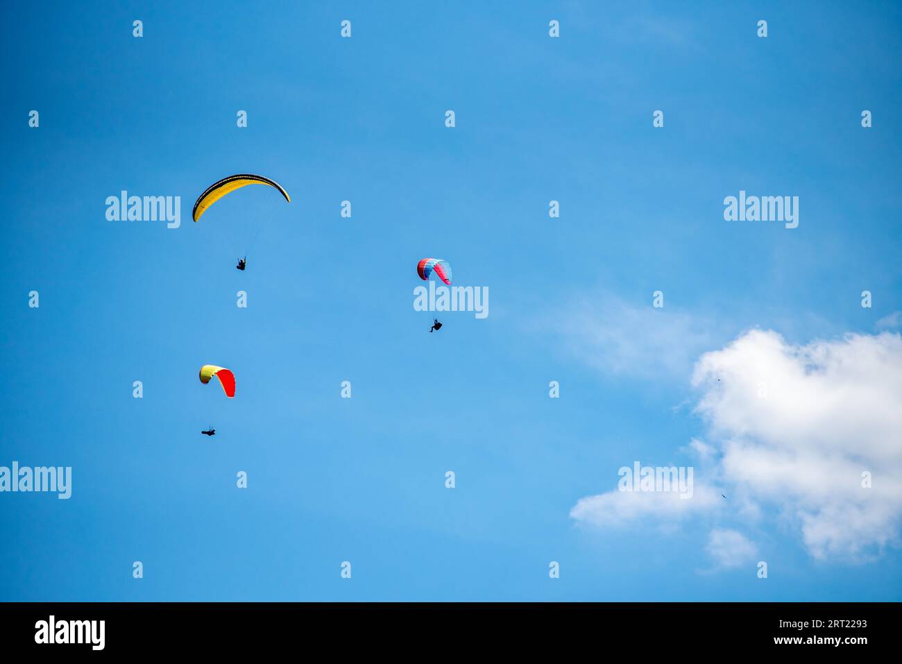 Gleitschirmfliegen im Ahrtal bei Dernau Stockfoto