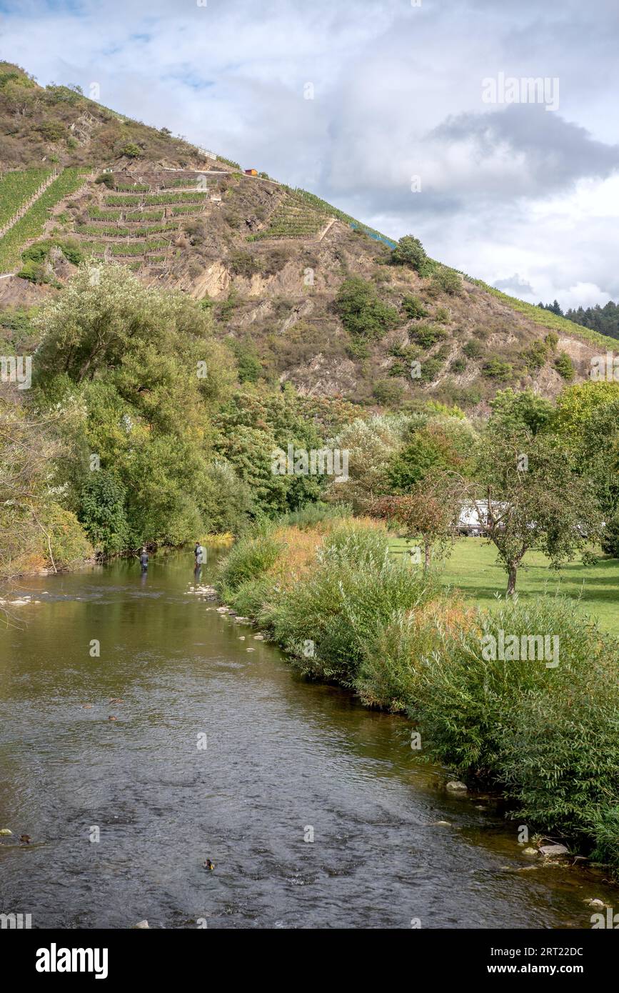 Die Ahr im Ahrtal bei Dernau Stockfoto