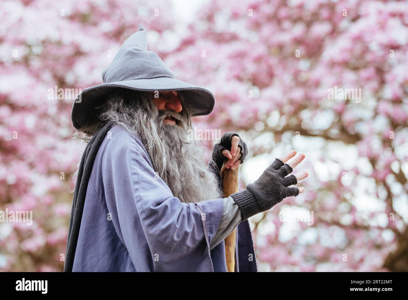 Christchurch, Neuseeland, 16. September 2019: Der berüchtigte Christchurch Wizard in the Botanical Gardens an einem warmen Frühlingstag in Neuseeland Stockfoto