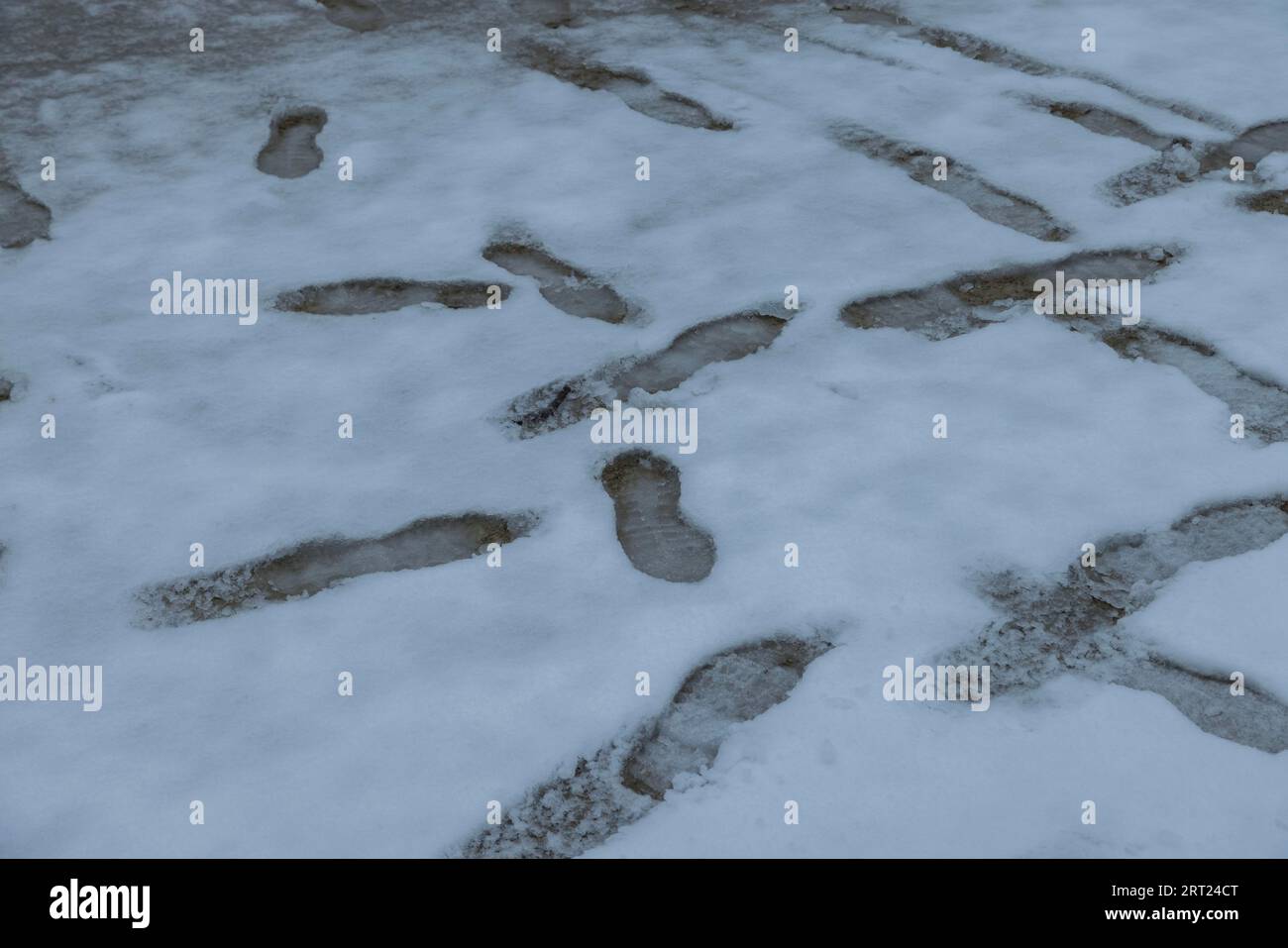 Bruehl Terrace Footprints in the Slush Stockfoto