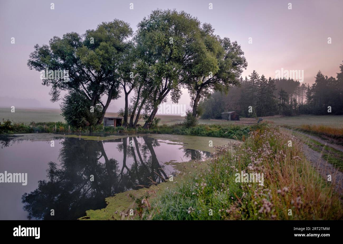 Teich nebel Fotos und Bildmaterial in hoher Auflösung Alamy