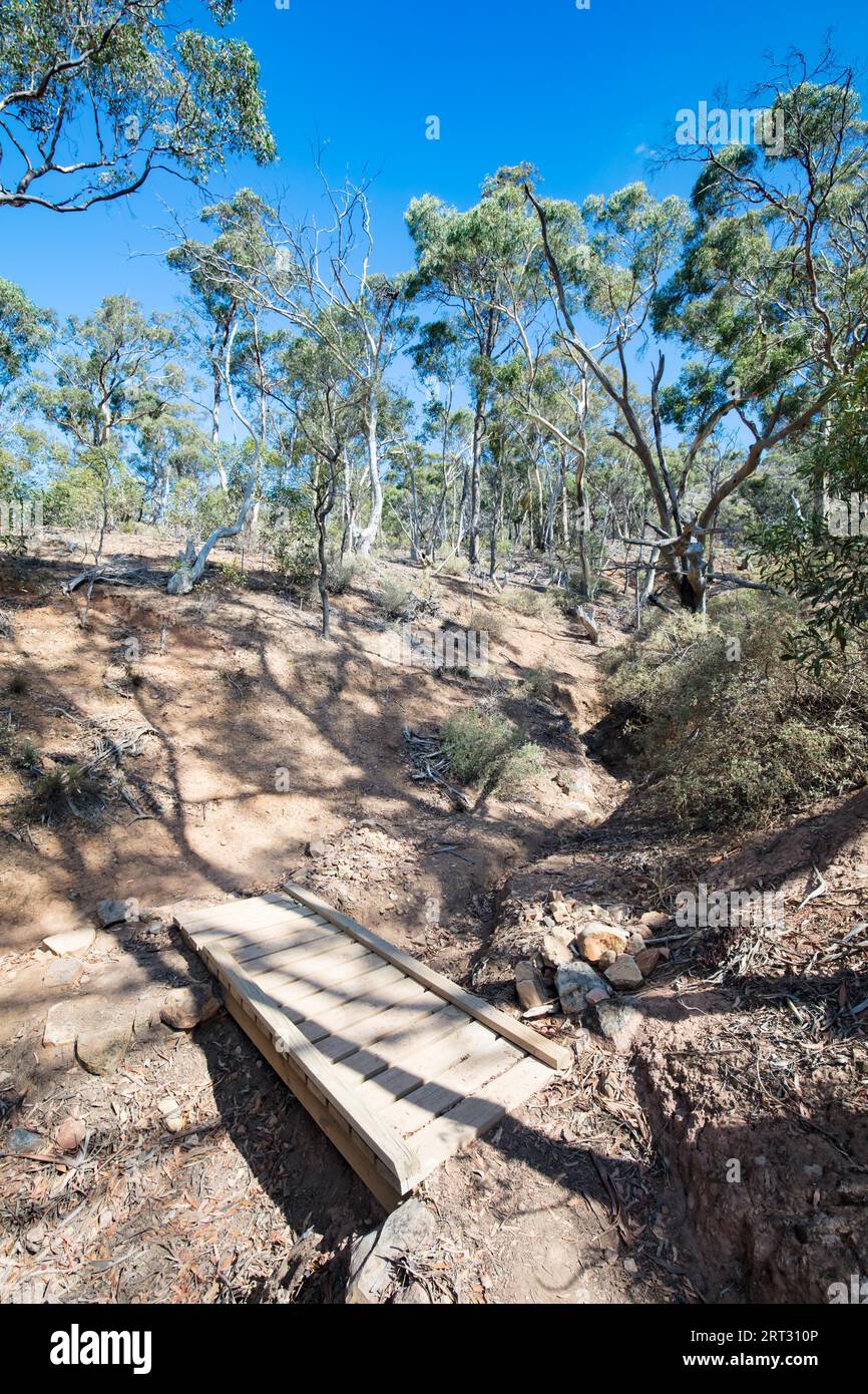 Das beliebte touristische Wahrzeichen der Werribee-Schlucht. Dies ist der Centenary Track, der auf den Gipfel des James Whyte Island Reserve aufsteigt Stockfoto