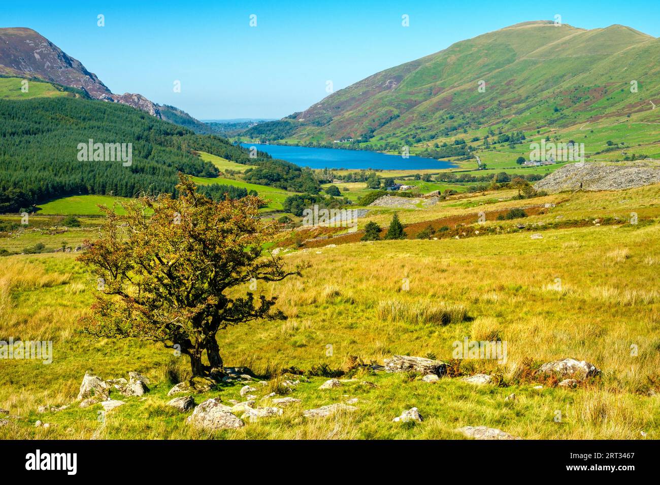 Llyn Cwellyn, Eryri National Park (Snowdonia), Wales, Großbritannien Stockfoto