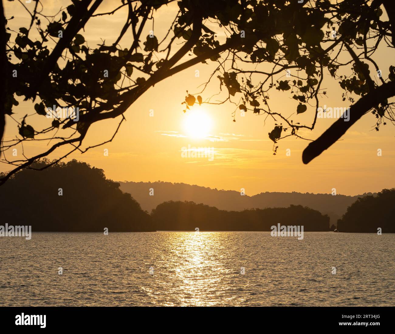 Blick auf den Sonnenuntergang durch die Zweige des Willens, während die Sonne über dem Meer und den Bergen und dem Hafen untergeht. Ein wunderbarer Ort und eine Landschaft voller Kraft und Stockfoto