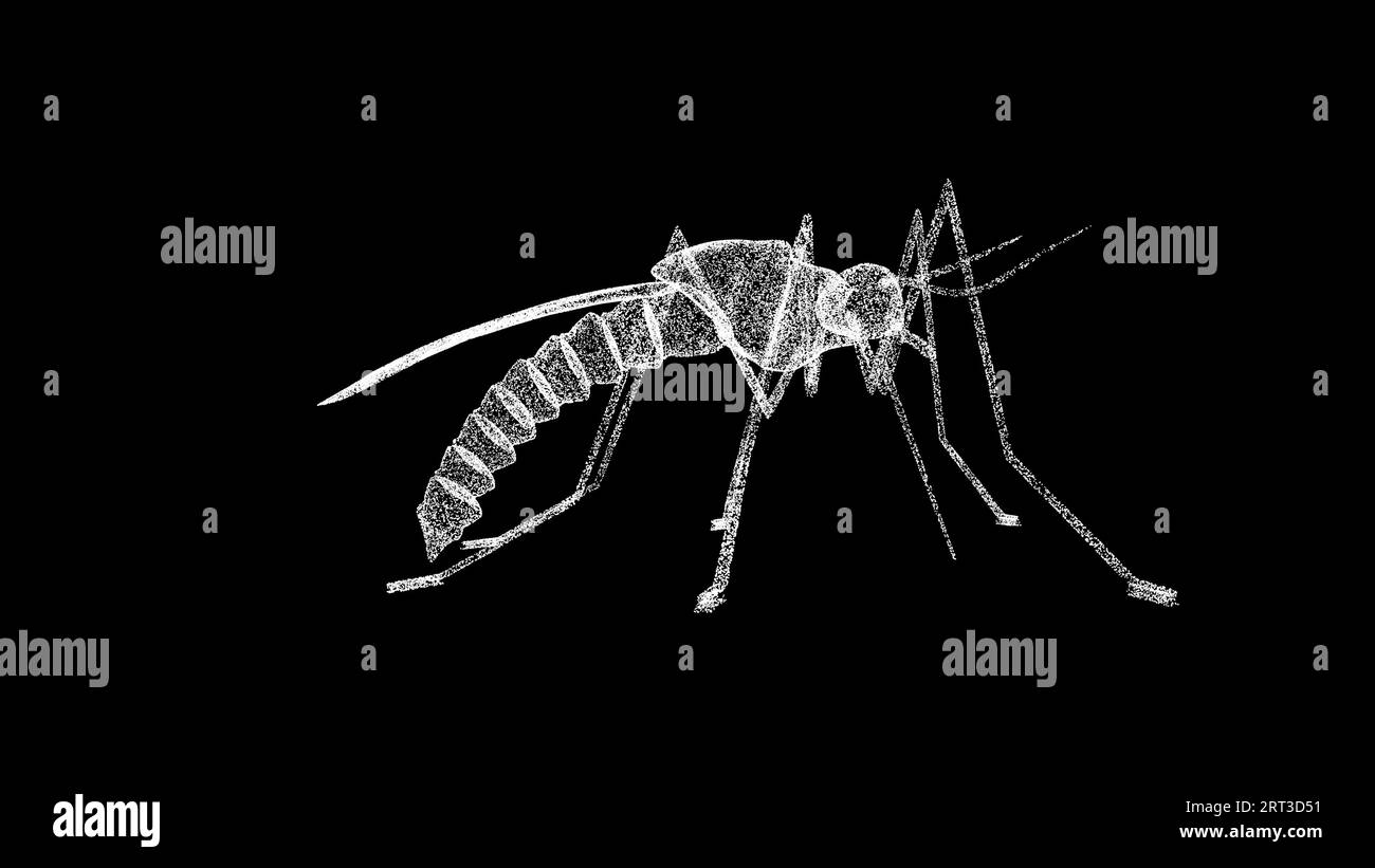 3D-Mücke auf schwarzem Hintergrund. Insekten und Naturkonzept. Gefährliche Insekten. Hintergrund der Geschäftswerbung. Für Titel, Text, Präsentation. 3d Stockfoto