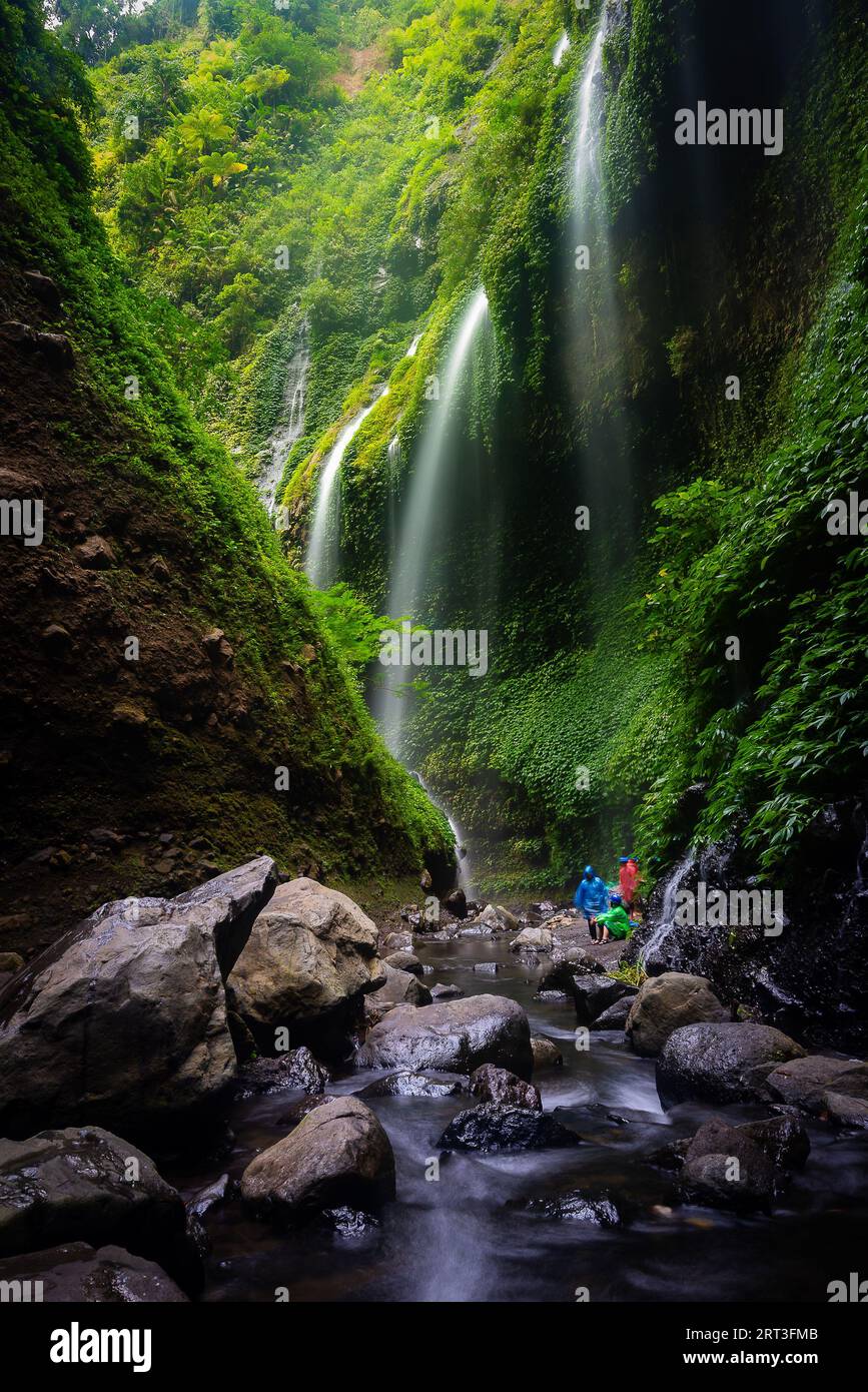 Der Madakaripura-Wasserfall ist einer der schönsten Wasserfälle Indonesiens Stockfoto