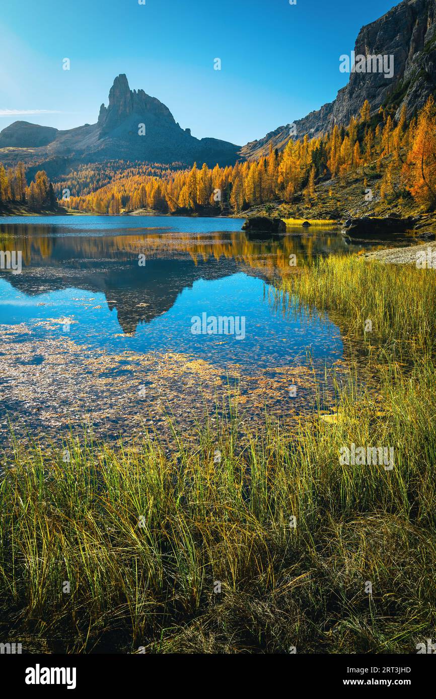 Fantastische Naturlandschaft mit alpinem See in den Dolomiten im Herbst, Federa-See, Italien, Europa Stockfoto