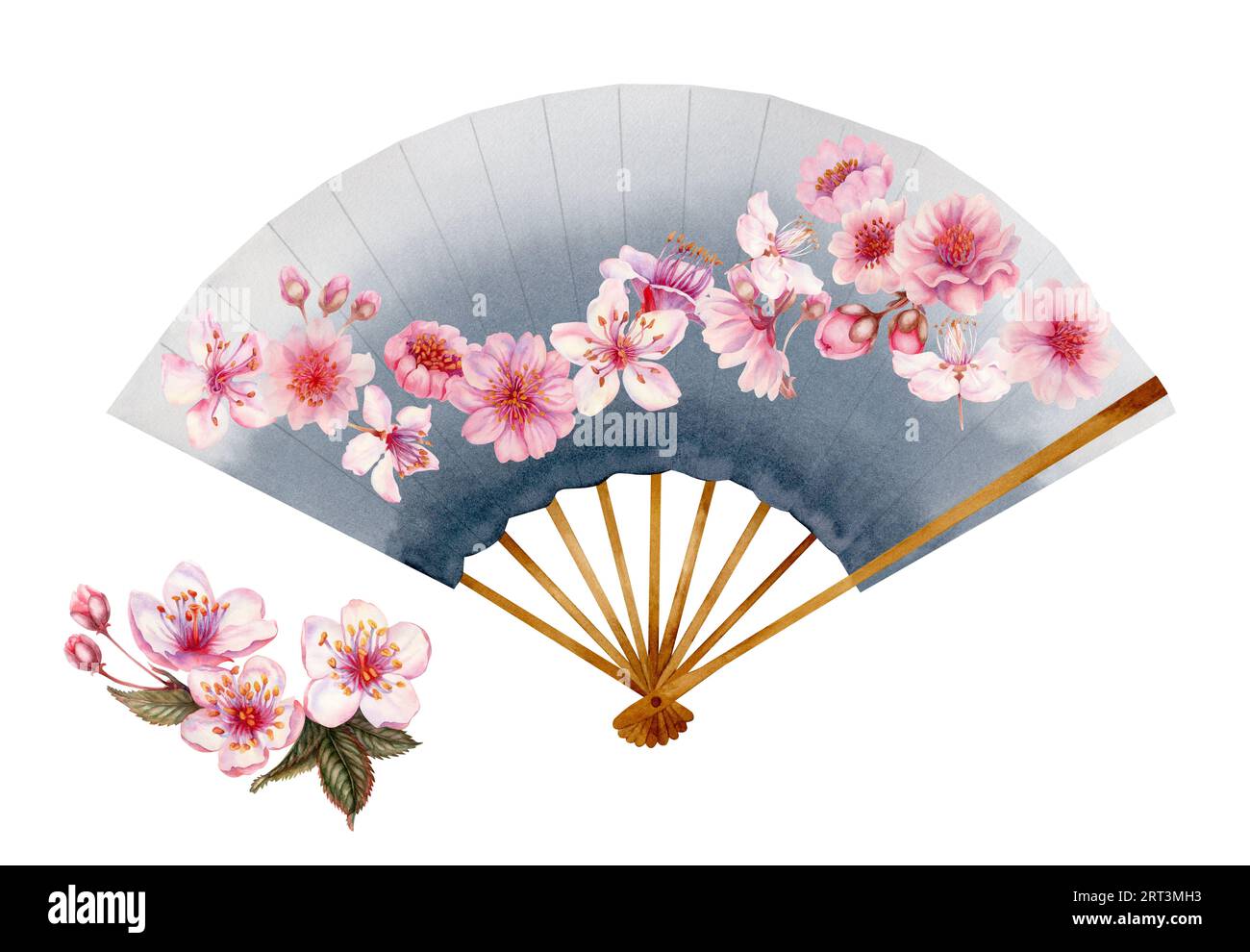 Aquarell-Illustration eines grauen, offenen Papierfächers mit Kirschblüten. Element isoliert auf weißem Hintergrund Stockfoto