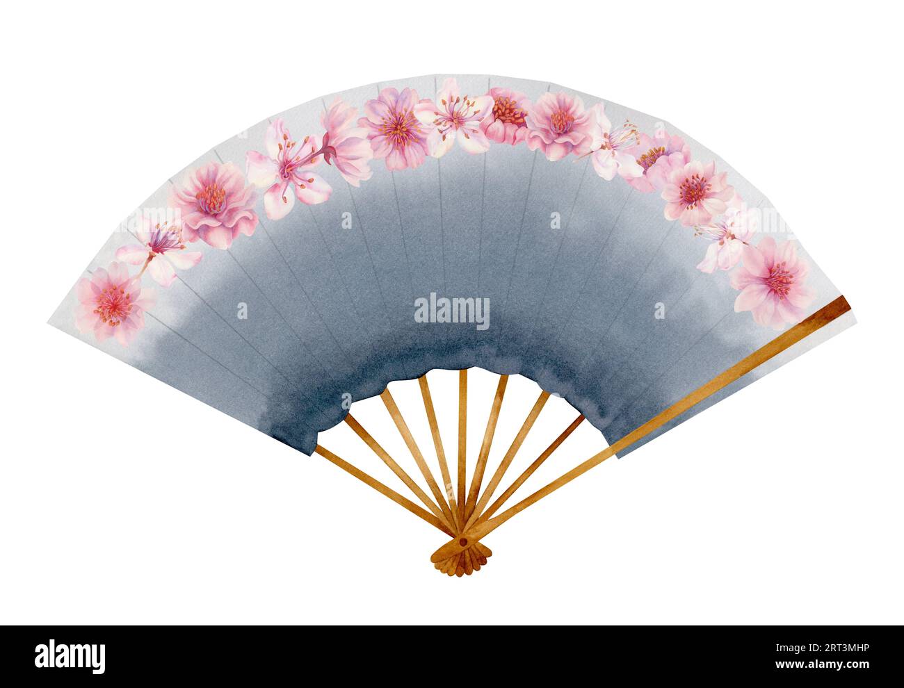 Aquarell-Illustration eines grauen, offenen Papierfächers mit Kirschblüten. Element isoliert auf weißem Hintergrund Stockfoto