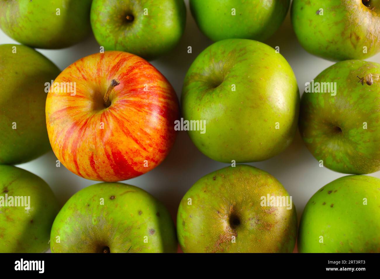 Ein Foto eines roten Apfels inmitten einer Gruppe grüner Äpfel. Stockfoto