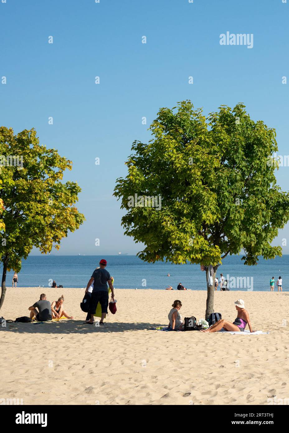 Touristen unter Baumschatten am Ostseestrand in Sopot, Polen, Europa, EU Stockfoto