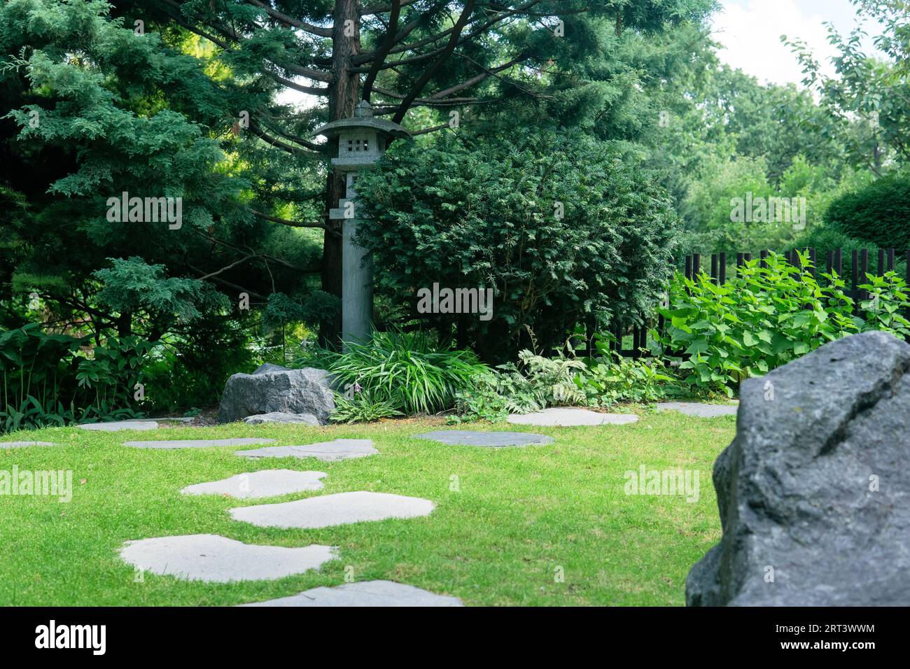 japanische Gartenlandschaft mit Steinlaterne unter Kiefern Stockfoto