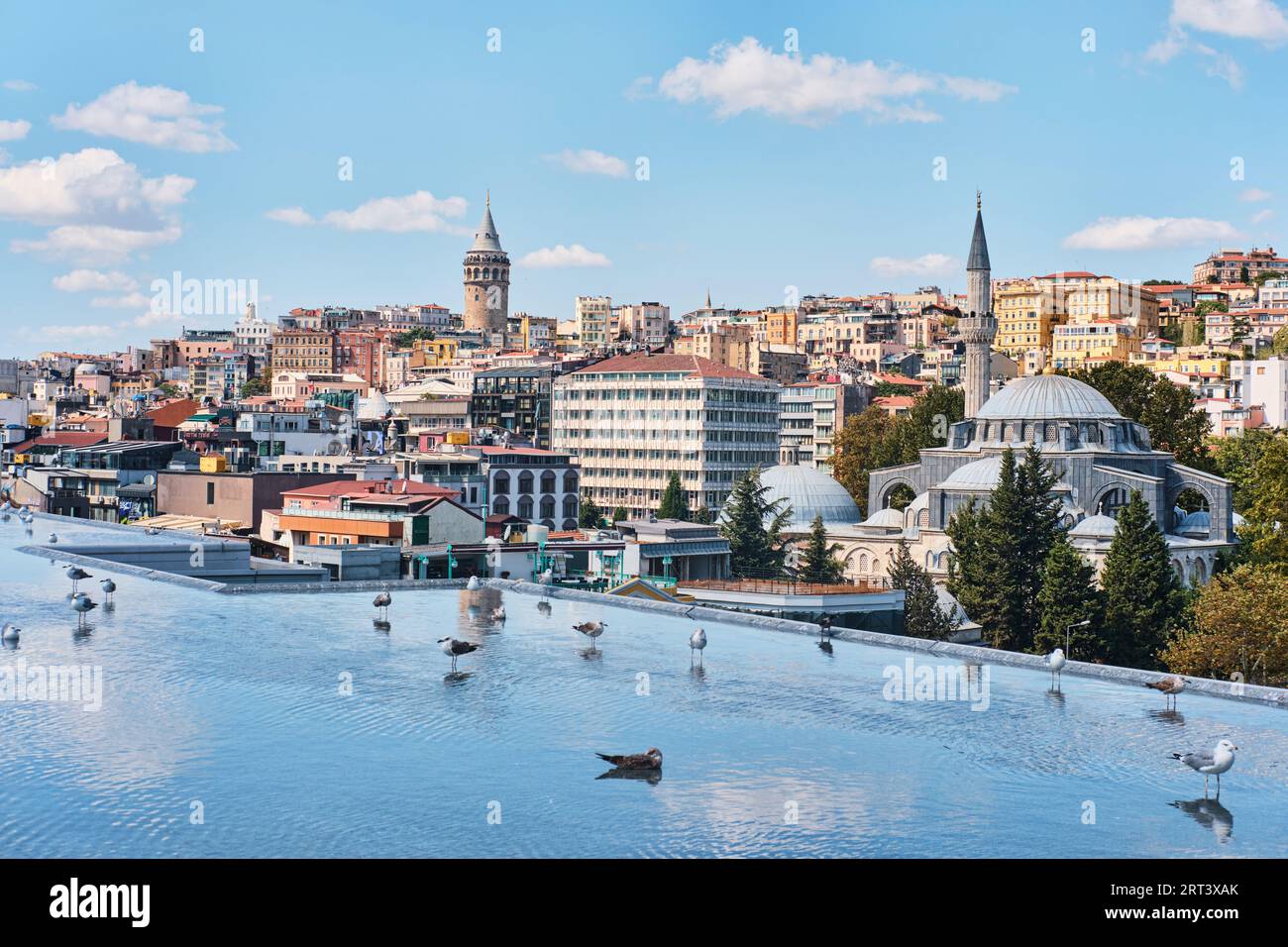 Istanbul, Türkei - 10. September 2023: Galata-Blick von der Terrasse des Istanbul Modern Art Museum mit Möwen im Reflexionspool Stockfoto