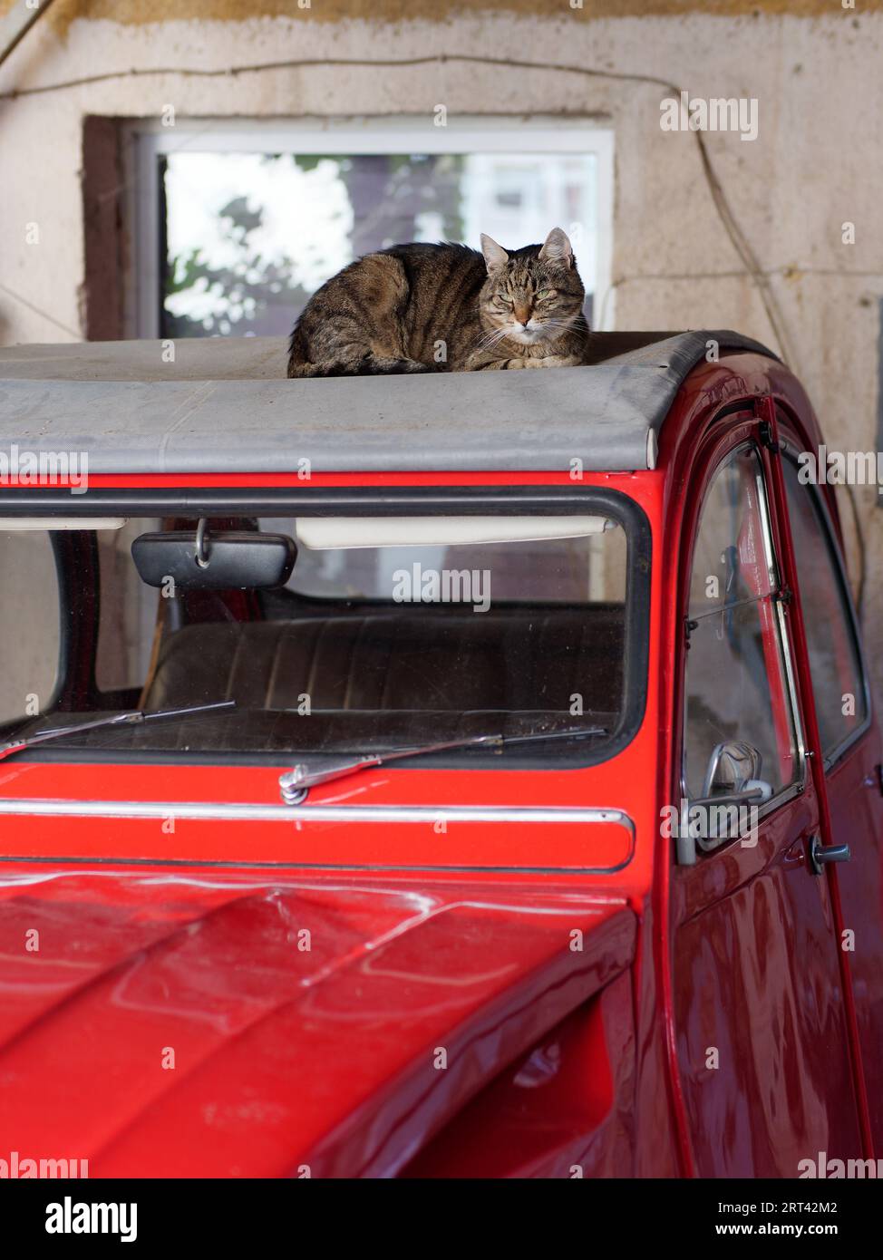 Katze sitzt auf einem roten Citroen 2CV Auto in Sarajevo, Bosnien und Herzegowina, 10. September 2023 Stockfoto