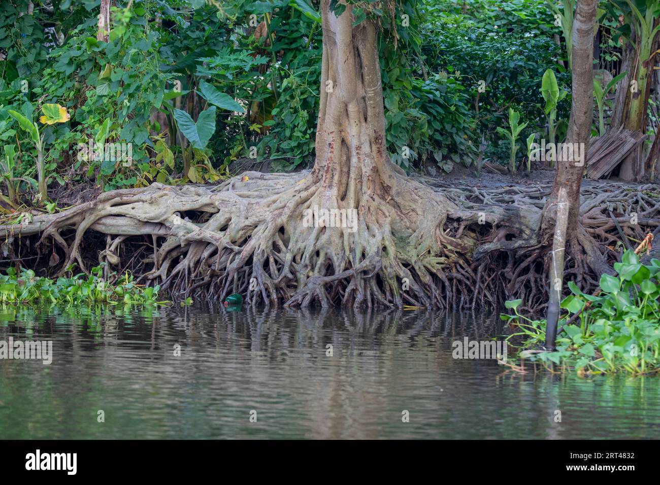 Das Leben rund um den Sondha River. Pirojpur, Bangladesch Stockfoto