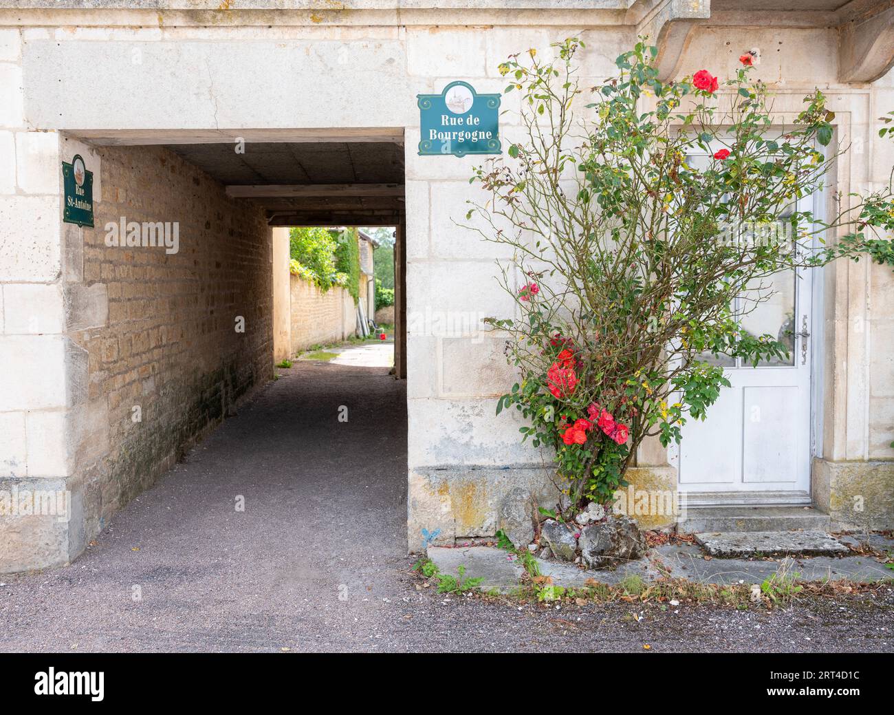 Rote Rosen und Fassade in französischem Burgunderrot Stockfoto