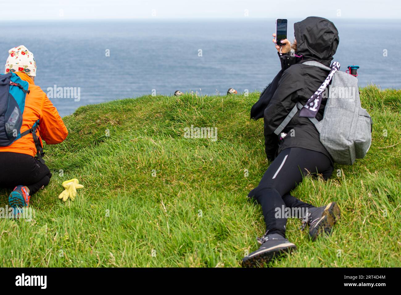Touristen machen Fotos von Papageientauchern auf den grasbewachsenen Hängen von Mykines Island, Färöer Inseln Stockfoto