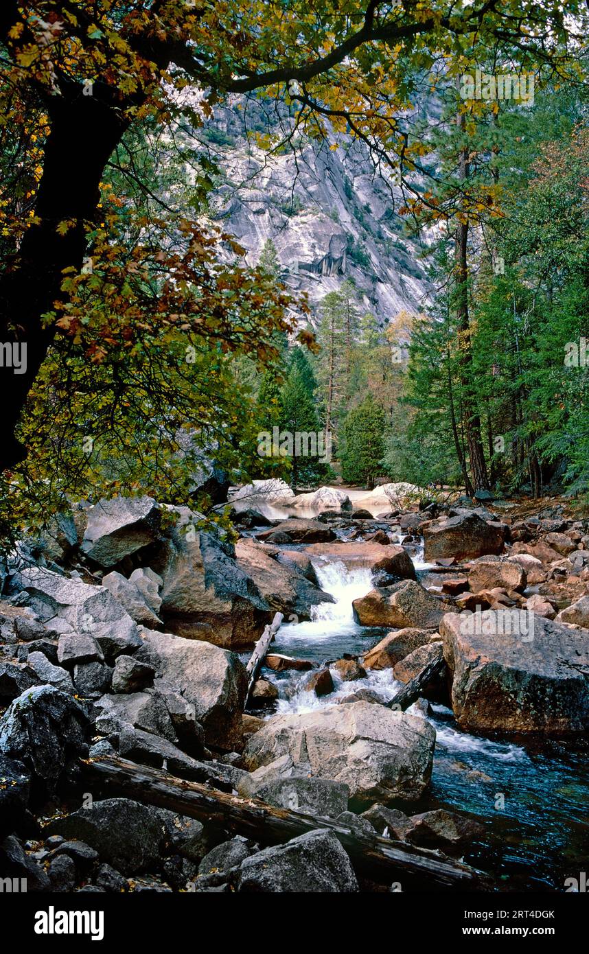 Tenaya Creek, Yosemite National Park, Yosemite Valley, Kalifornien Stockfoto