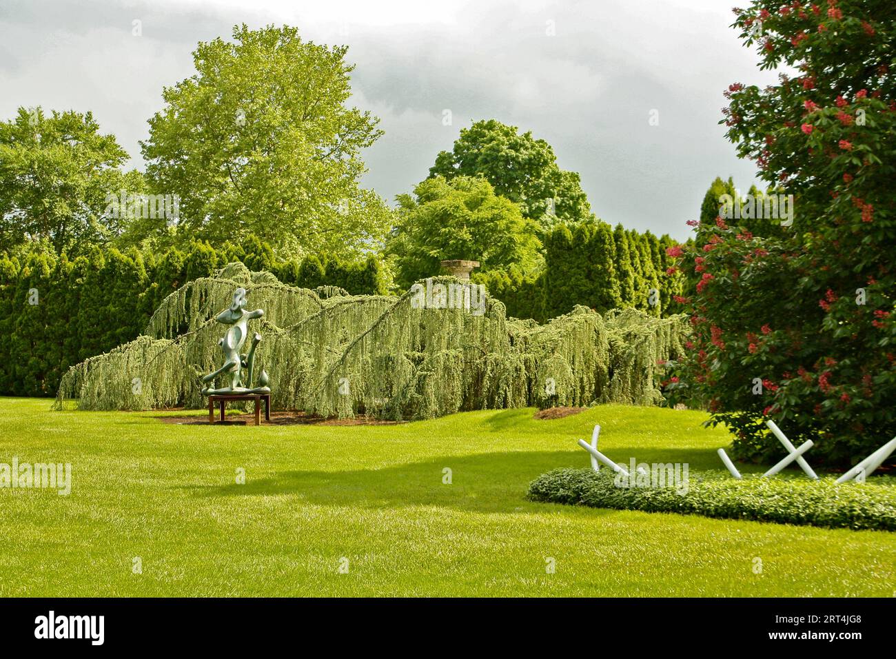 Schöne Gartenbäume Stockfoto