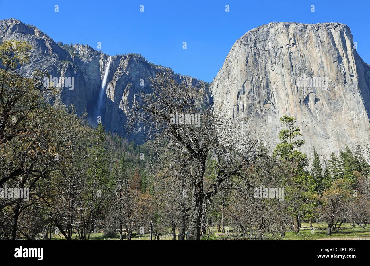 El Capitan - Yosemite National Park, Kalifornien Stockfoto