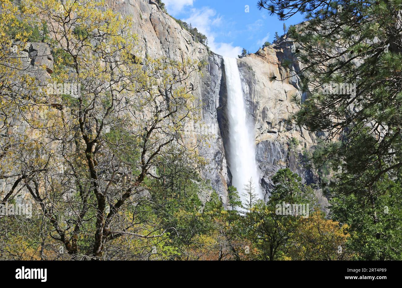 Bridalveil Fall - Yosemite-Nationalpark, Kalifornien Stockfoto