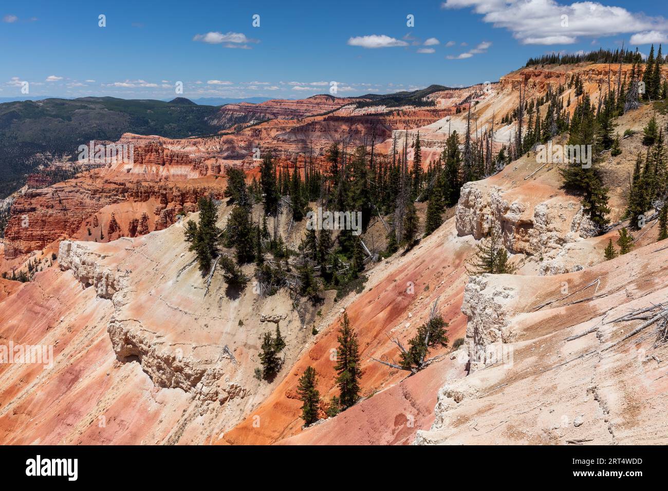 Sunset View Overlook, Cedar Breaks National Monument, Utah Stockfoto