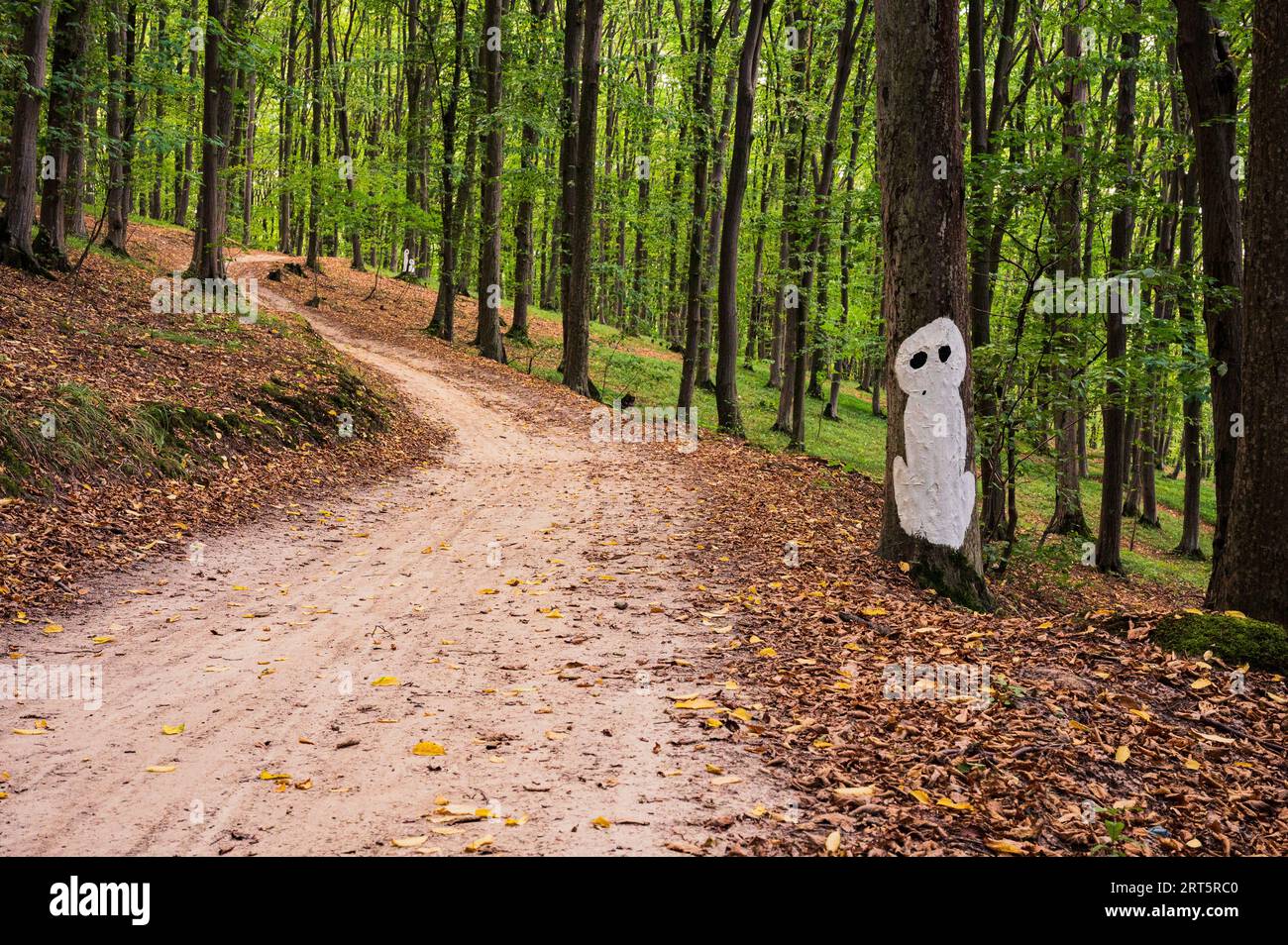 Halloween-Silhuette von Mann, Geist oder Außerirdischen, die auf dem Baum im Wald abgebildet ist. Landschaftlich, mystisch, Postkartenansicht, Hintergrundbild Stockfoto
