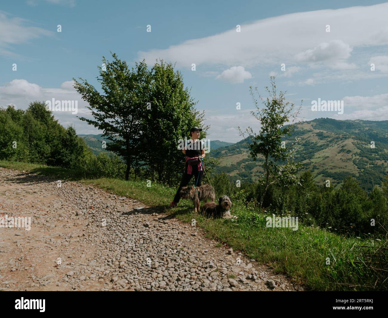 Eine tausendjährige Wanderin mit zwei Hunden und Rucksack in den Karpaten, auf dem Gipfel der Ukraine, ein europäisches Rucksacktouristen und Haustiere, Freunde auf landschaftlich reizvollen Landschaften Stockfoto