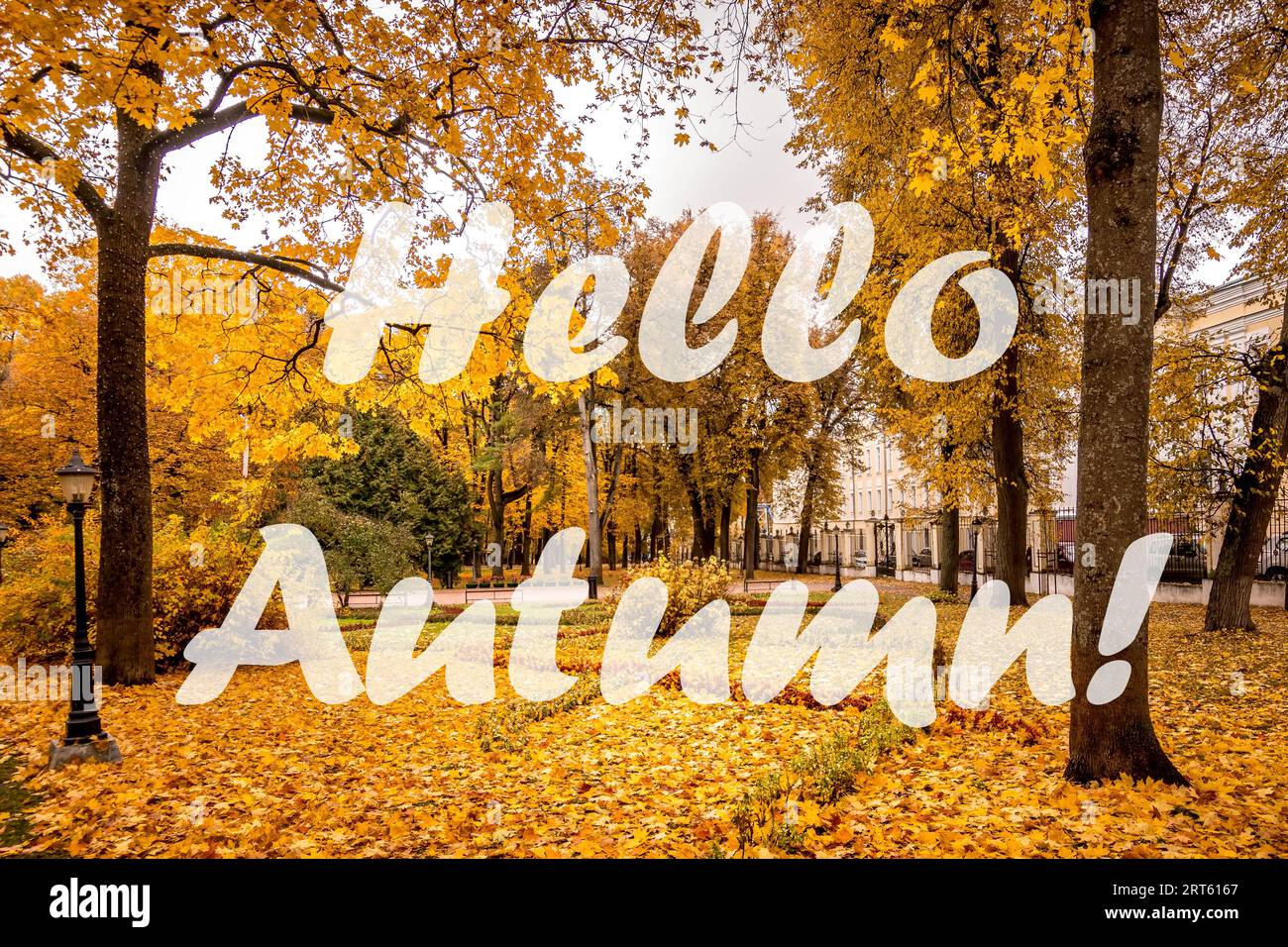 Die Worte Hallo Herbst auf dem Hintergrund des Herbstparks, der in der goldenen Herbstsaison von der Sonne beleuchtet wird. Grußkarte. Das Konzept des Beginns der Herbstmeere Stockfoto