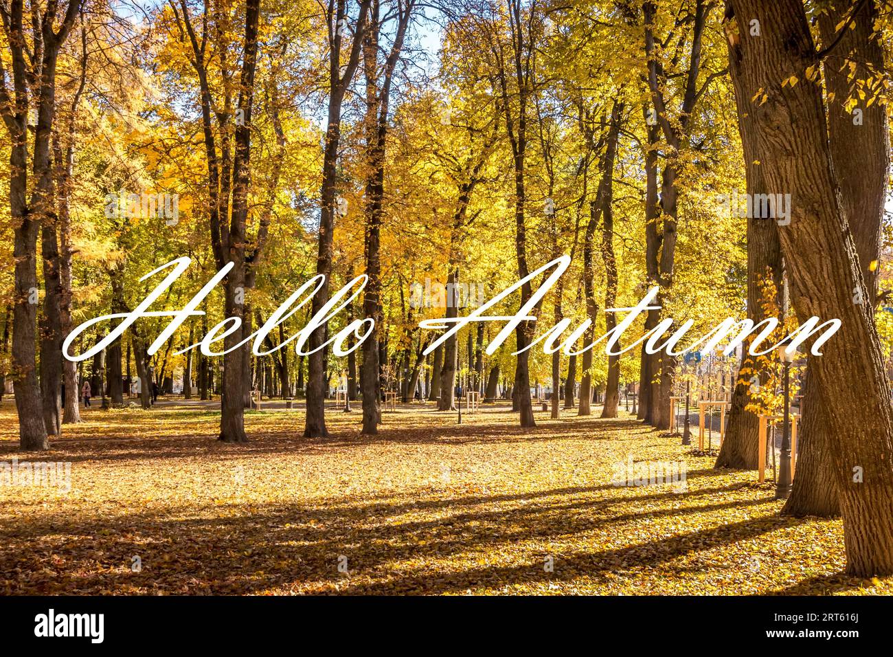 Die Worte Hallo Herbst auf dem Hintergrund des Herbstparks, der in der goldenen Herbstsaison von der Sonne beleuchtet wird. Grußkarte. Das Konzept des Beginns der Herbstmeere Stockfoto