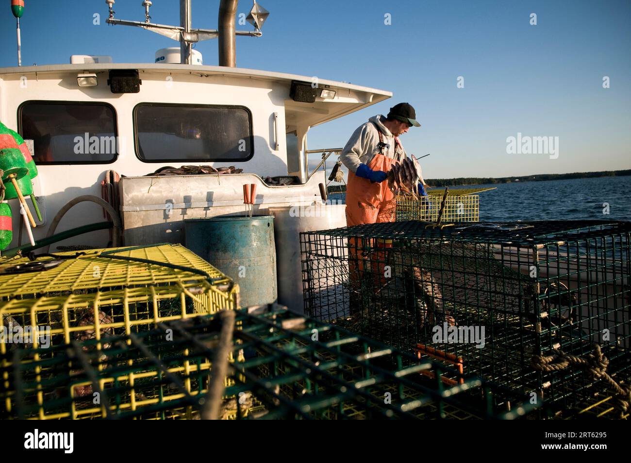 Ein Lobsterman ködert seine Fallen in Casco Bay, Maine. Stockfoto