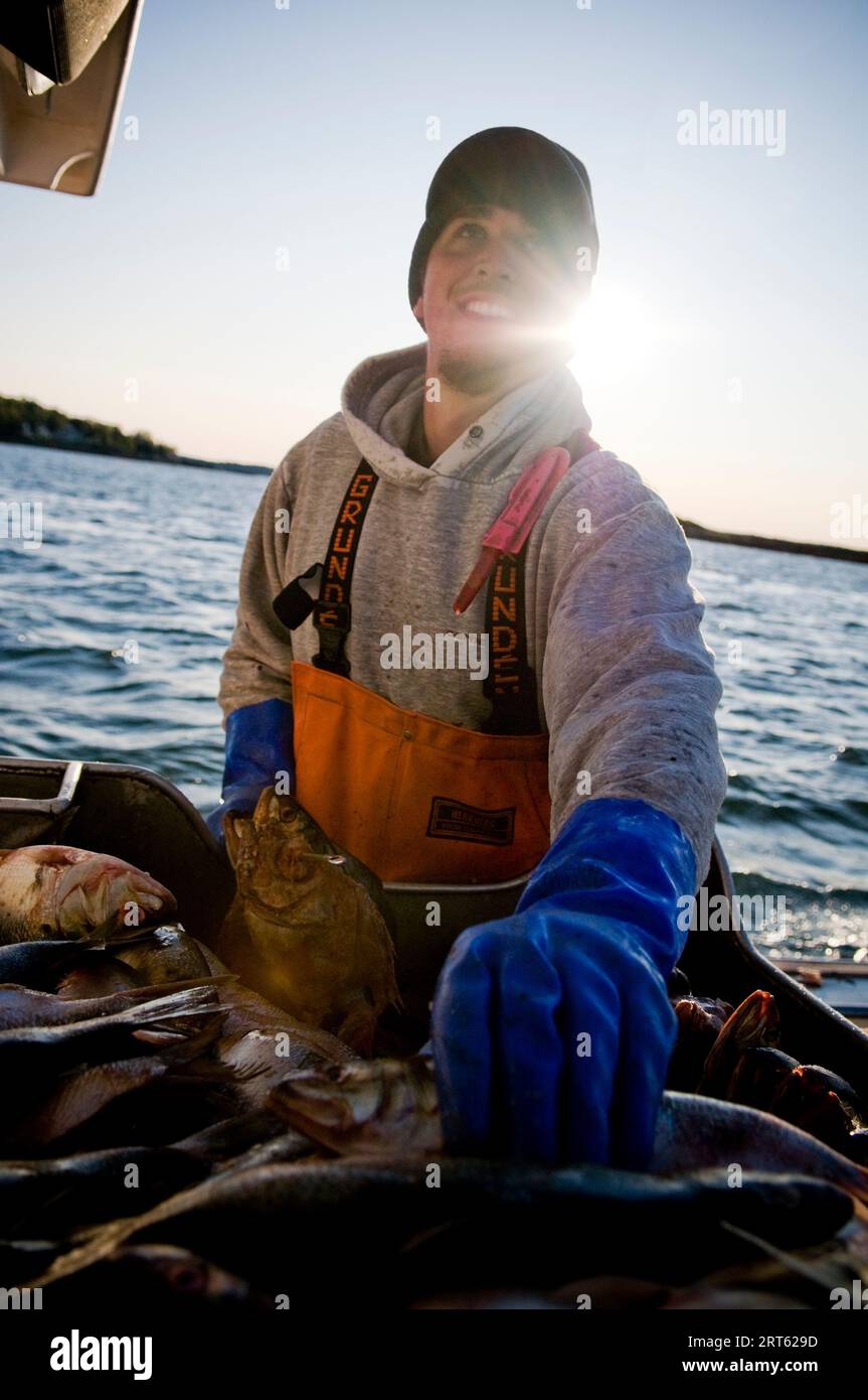 Ein Lobsterman bereitet Köder in Casco Bay, Maine, zu. Stockfoto