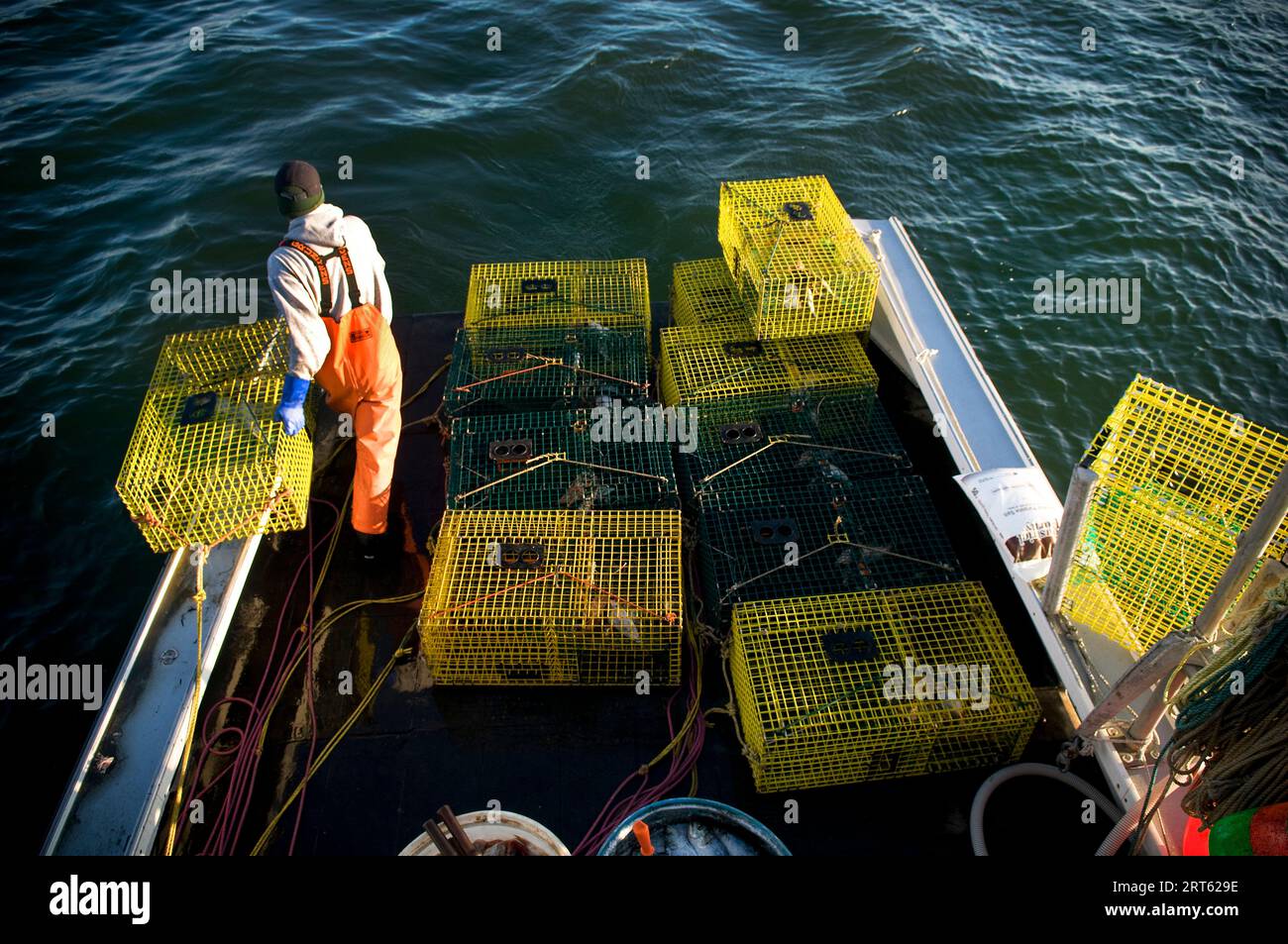 Ein Lobsterman organisiert Fallen zur Freilassung in Casco Bay, Maine. Stockfoto