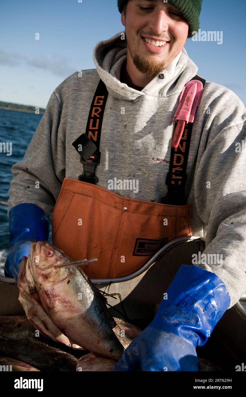 Lobsterman, Casco Bay, Maine. Stockfoto