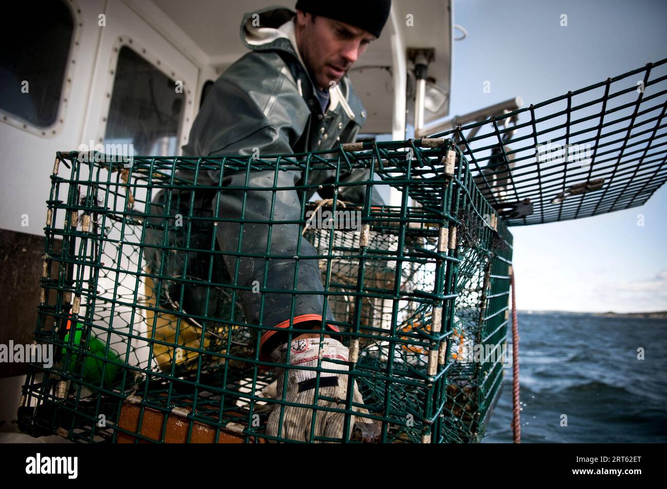 Ein Lobsterman erreicht eine Falle, Casco Bay, Maine. Stockfoto