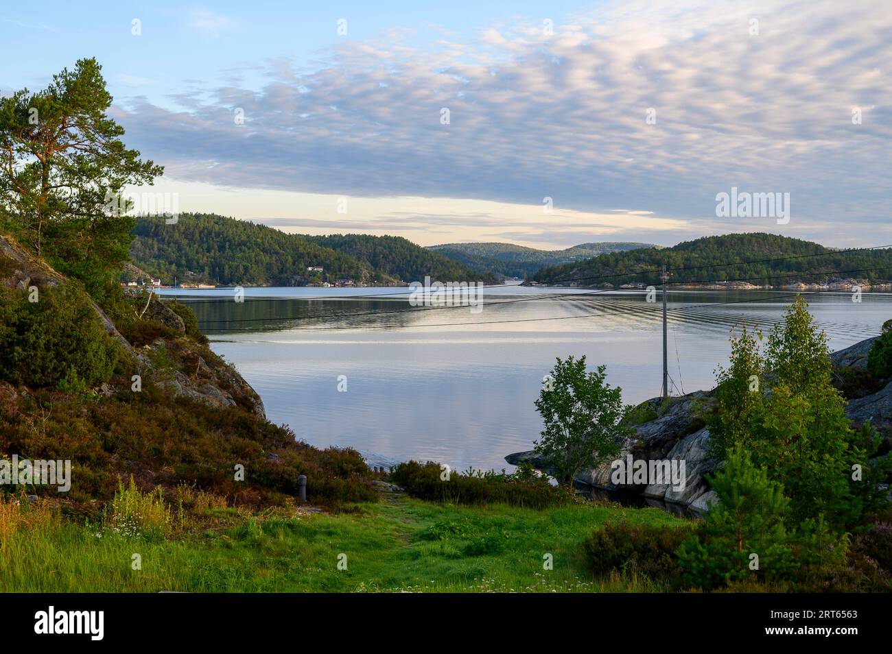 Blick am frühen Morgen von der Insel Buholmen über Aroyfjord auf die Inseln Gumoy und Fluer im Kragero-Archipel, Telemark, Norwegen. Stockfoto