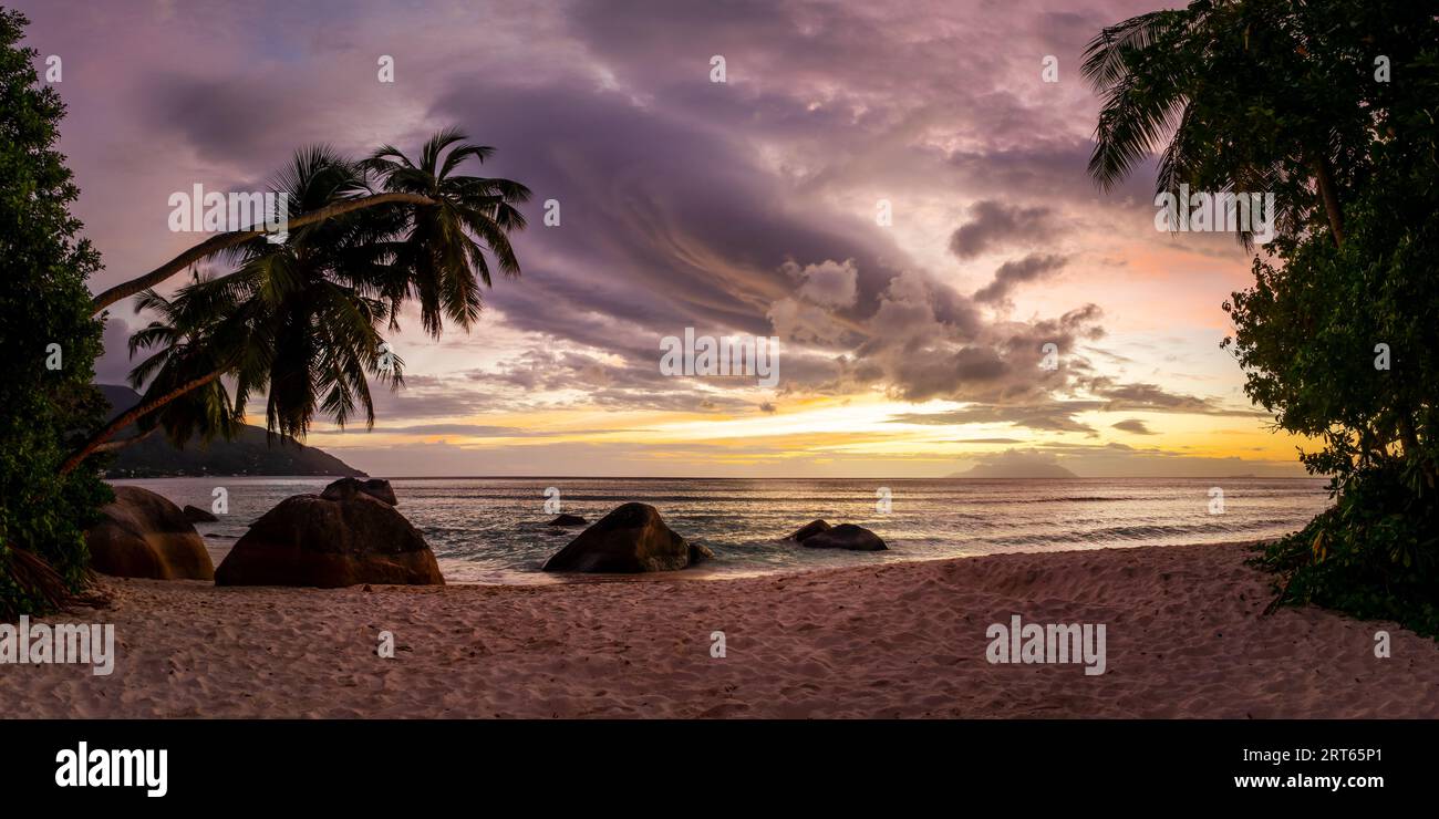 Perfektes Sonnenuntergangspanorama an einem malerischen tropischen Sandstrand mit Palmen und Felsbrocken auf der Insel Mahé, Seychellen Stockfoto