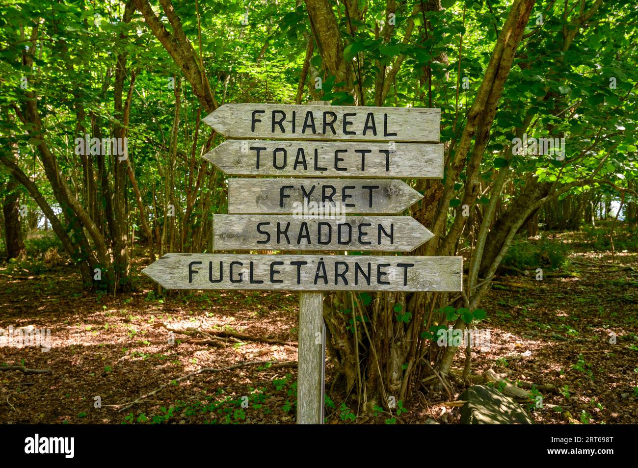 Nahaufnahme eines hölzernen Wegweisers in dichten Wäldern mit Schildern, die auf verschiedene Ziele auf der Insel Jomfruland, Telemark, Norwegen, hinweisen; Stockfoto