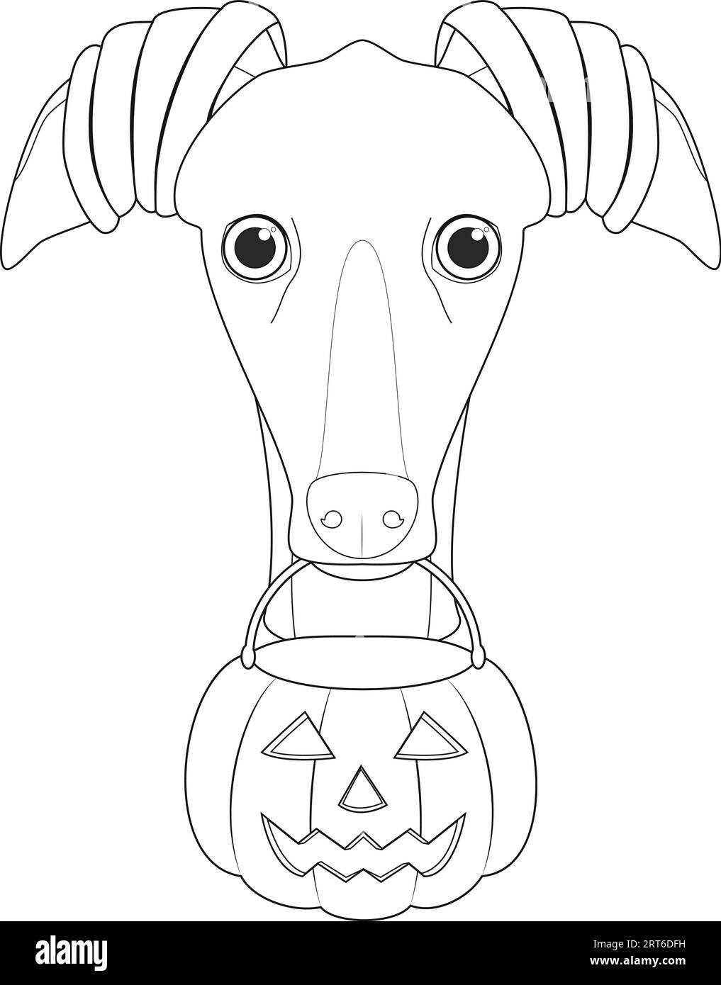 Halloween-Grußkarte zum Ausmalen. Windhund-Hund als Hexe gekleidet mit Kürbis im Mund Stock Vektor